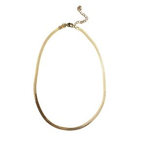 Banana Republic Flat Chain Gold Necklace